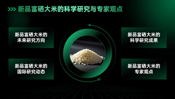 绿色科技风科技富硒大米新品发布会