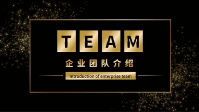 黑金商务企业团队成员介绍PPT模板