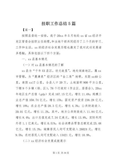 挂职工作总结5篇.docx