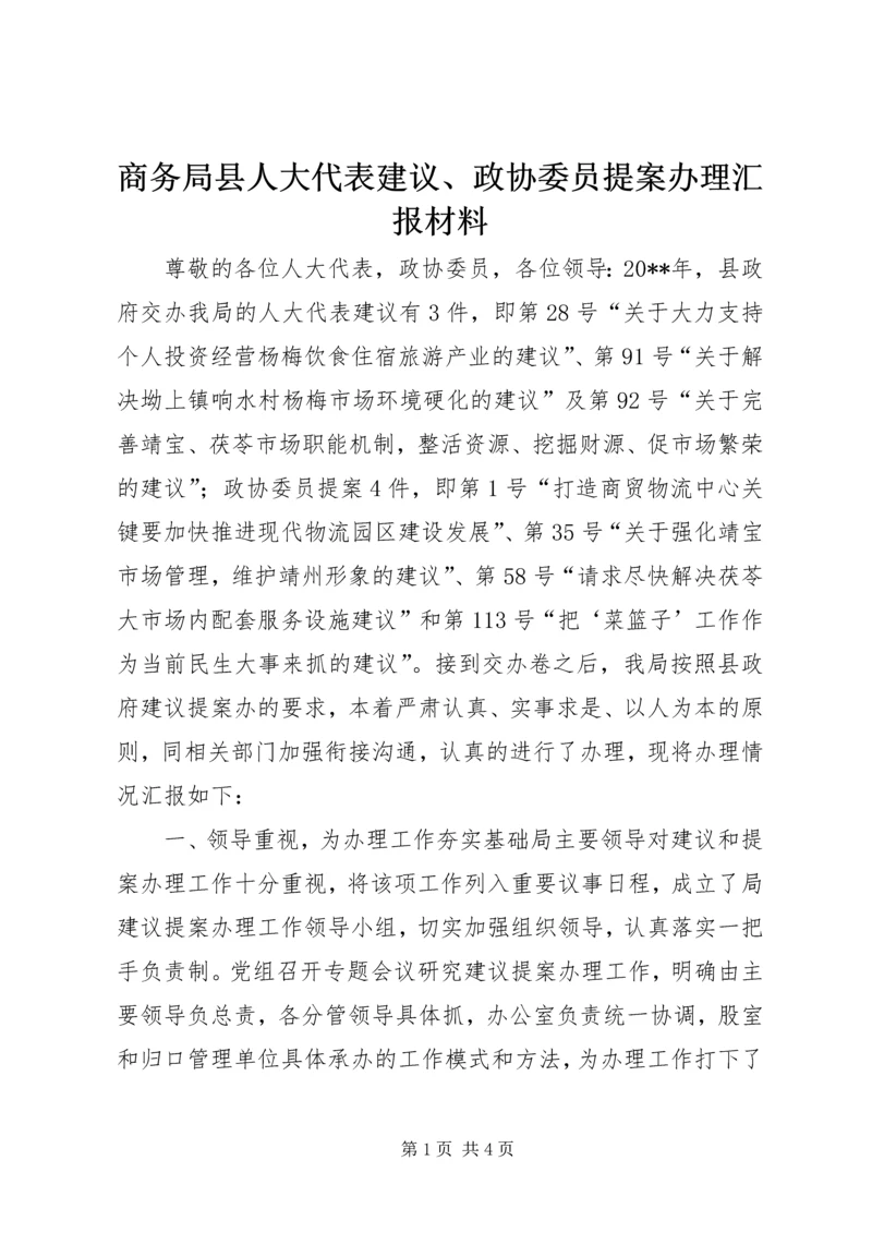 商务局县人大代表建议、政协委员提案办理汇报材料.docx