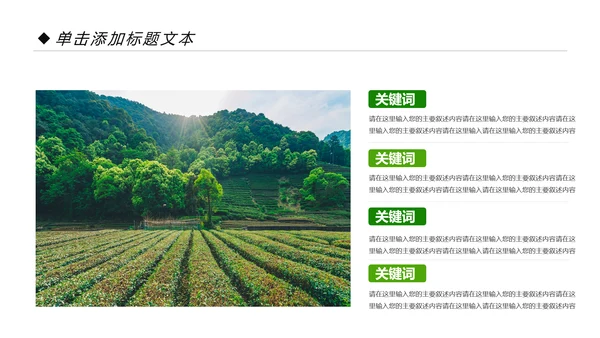 绿色清新茶园茶艺茶道文化动态PPT模板