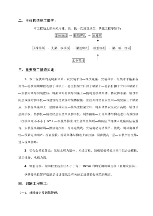 主体结构关键工程综合施工专题方案.docx