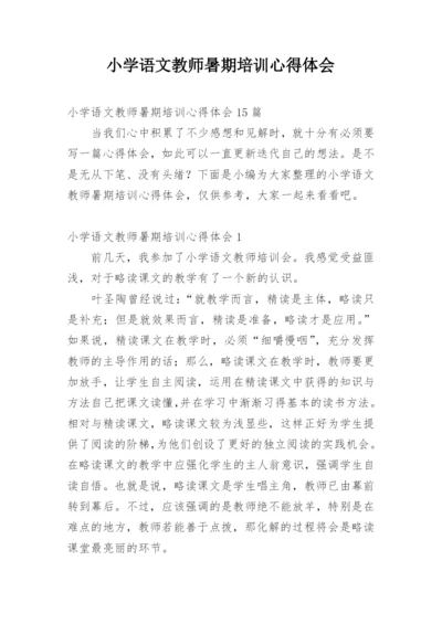 小学语文教师暑期培训心得体会.docx