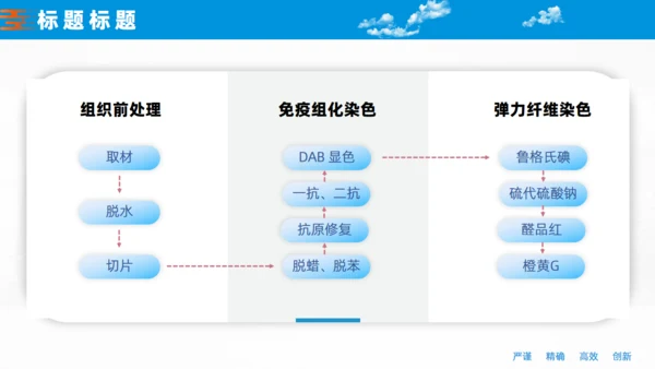 非小细胞肺癌的胸膜侵犯医学课件通用PPT模板