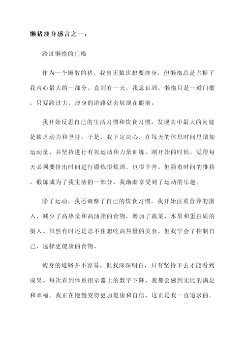懒猪瘦身的感言