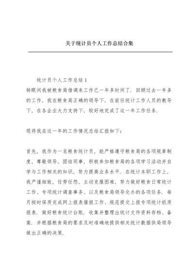 关于统计员个人工作总结合集.docx