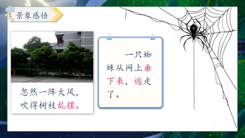【核心素养】部编版语文二年级下册-16. 雷雨 第2课时（课件）
