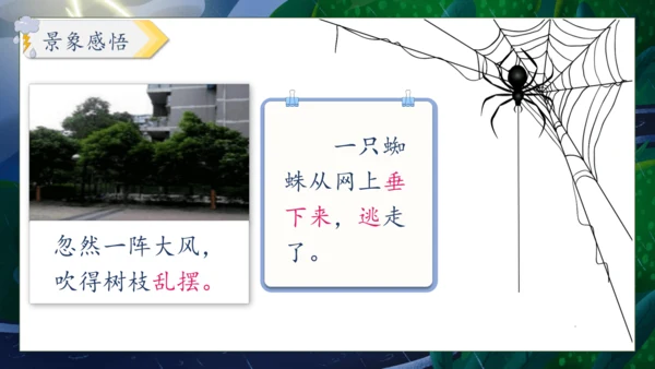 【核心素养】部编版语文二年级下册-16. 雷雨 第2课时（课件）