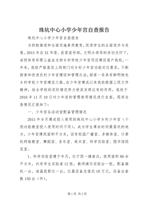 珠坑中心小学少年宫自查报告.docx