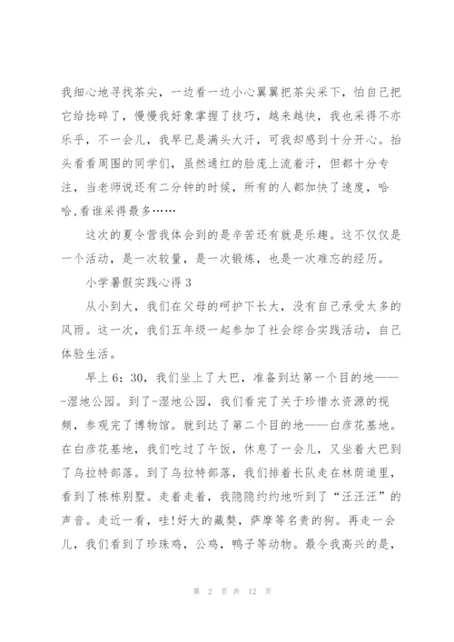 小学暑假实践心得范文十篇.docx