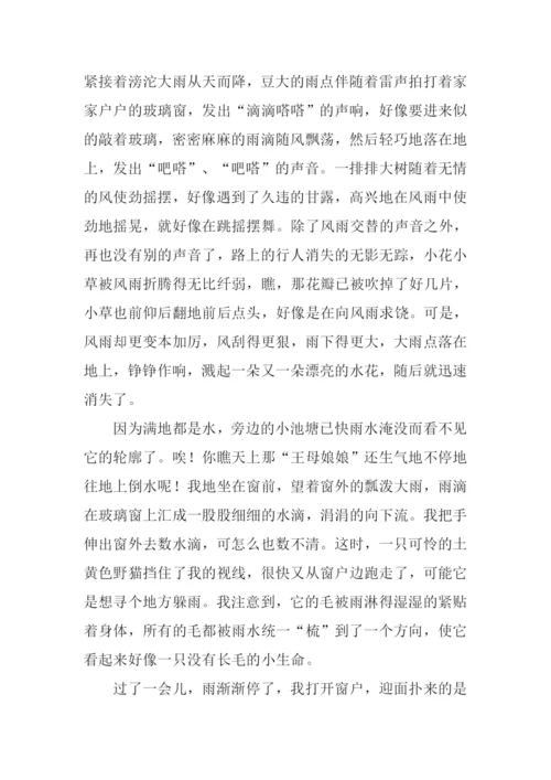 写家乡雨景的作文.docx