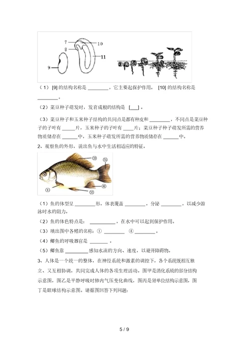 2021年九年级生物上册期末考试题及答案【最新】