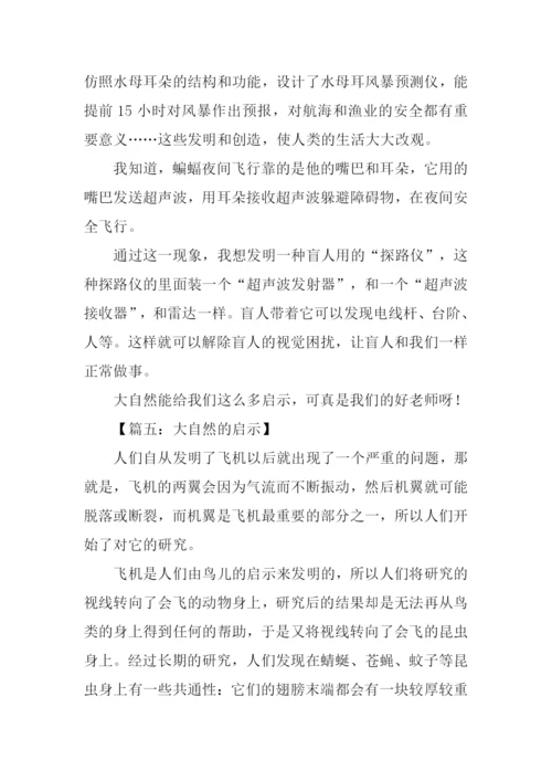 什么的启示作文300字.docx