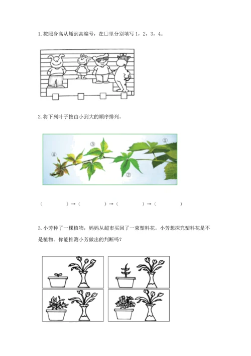 教科版科学一年级上册期末测试卷【考试直接用】.docx