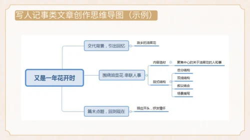 统编版初中语文八年级上册第四单元：一朵花里见人生散文阅读 课件（共34张PPT）