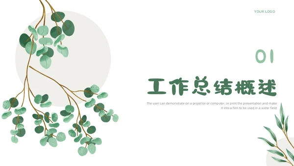 小清新简约工作总结汇报概述