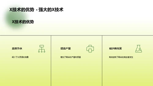 稻谷种植的科技革新