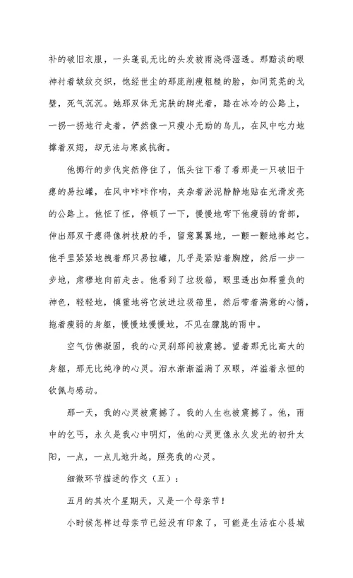 细节描写的作文
