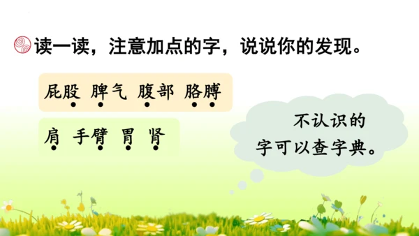 11.我是一只小虫子 课件
