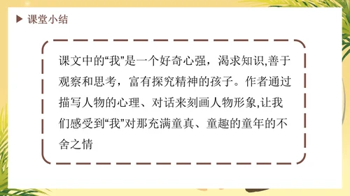 部编版语文六年级下册《表里的生物》