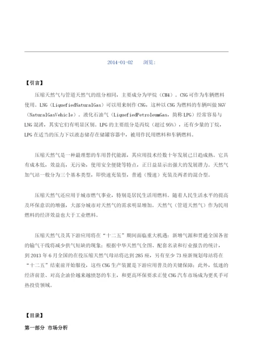 压缩天然气项目投资调研及前景预测报告模板.docx