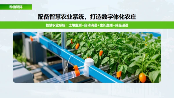 新城市农家小院策划案通用PPT