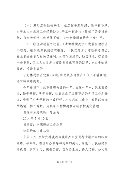 省政府派挂职锻炼工作总结.docx