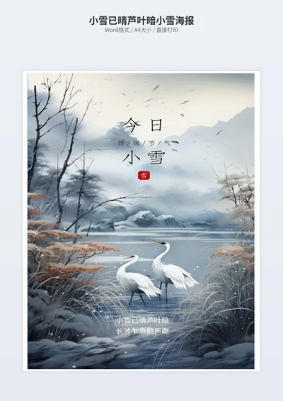 小雪已晴芦叶暗小雪海报
