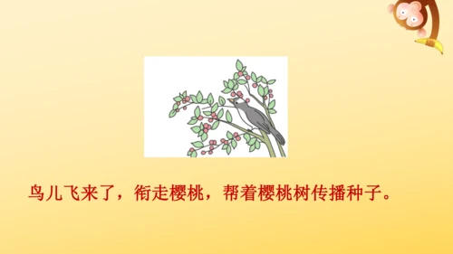 3 植物妈妈有办法  课件