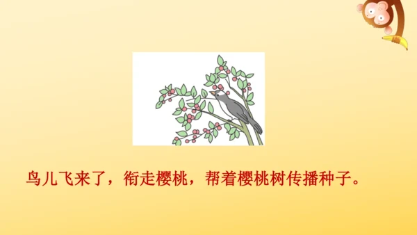 3 植物妈妈有办法  课件