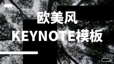 灰色欧美风商务工作汇报通用PPT模板