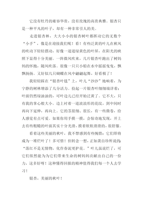 写银杏叶的作文400字.docx
