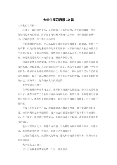 大学生实习月报10篇.docx