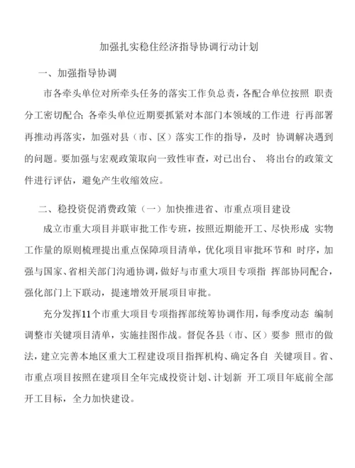 加强扎实稳住经济指导协调行动计划.docx