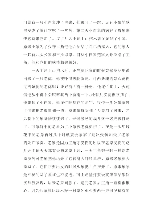 白象家族读后感1000字.docx