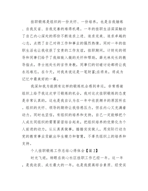 个人挂职锻炼工作总结心得体会.docx