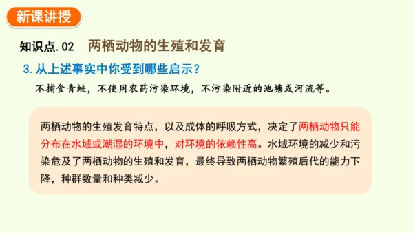 7.1.3两栖动物的生殖和发育-八年级生物人教版下学期同步精品课件(共31张PPT)