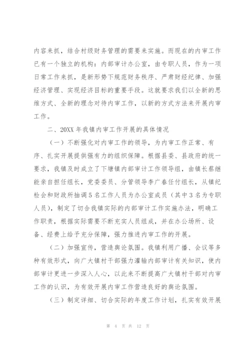 新成立公司内部审计工作总结.docx