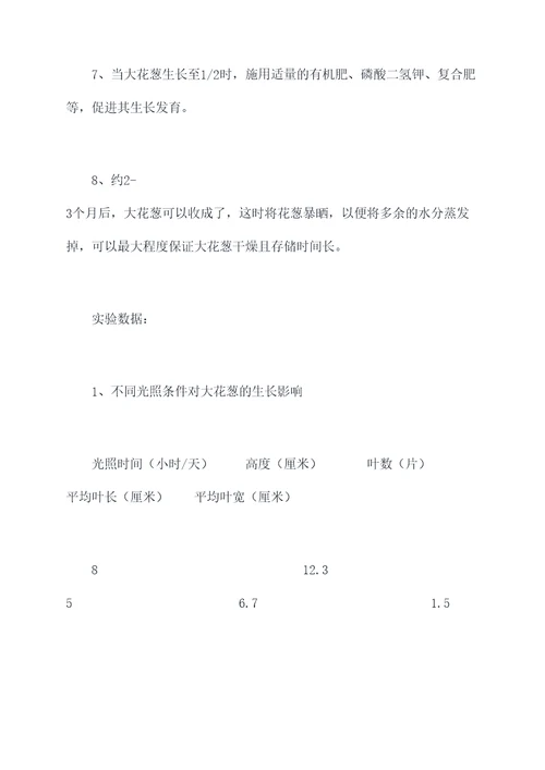 种植大花葱的实验报告