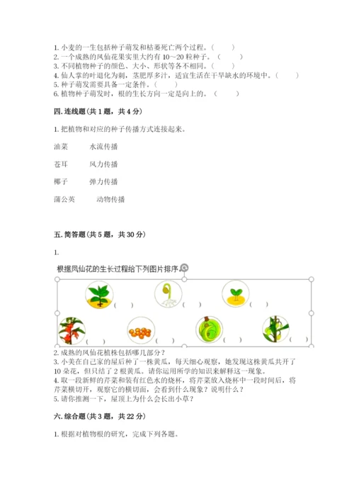 科学四年级下册第一单元《植物的生长变化》测试卷及1套参考答案.docx