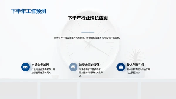 半年业绩回顾与展望