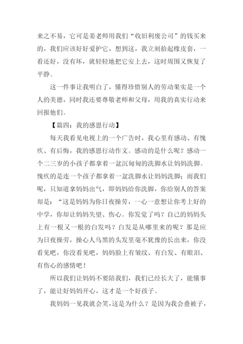 我的感恩行动作文.docx