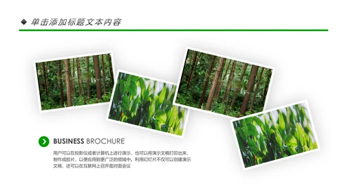 绿色环保森林生态文明建设森林日环保PPT模板