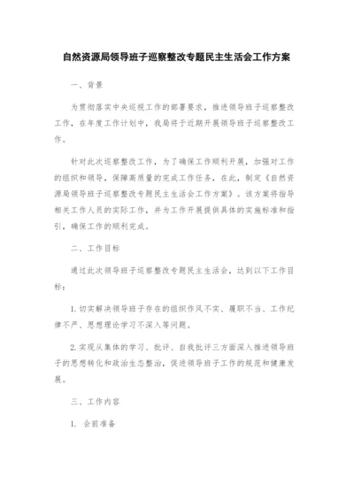 自然资源局领导班子巡察整改专题民主生活会工作方案.docx