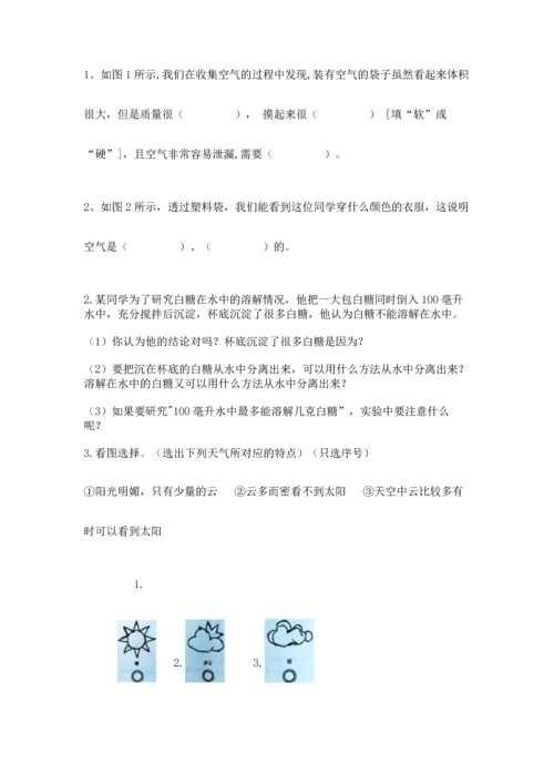 教科版三年级上册科学《期末测试卷》（易错题）.docx