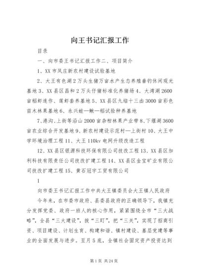 向王书记汇报工作 (6).docx