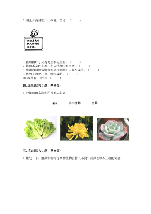 教科版一年级上册科学期末测试卷及答案一套.docx