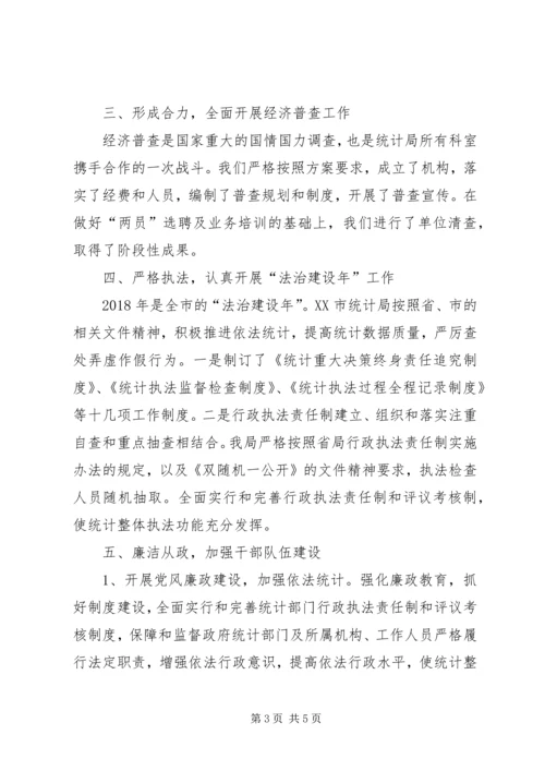 统计局XX年工作总结及XX年工作安排.docx