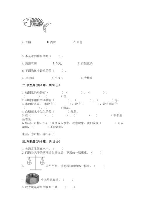 教科版一年级下册科学期末测试卷含完整答案（历年真题）.docx