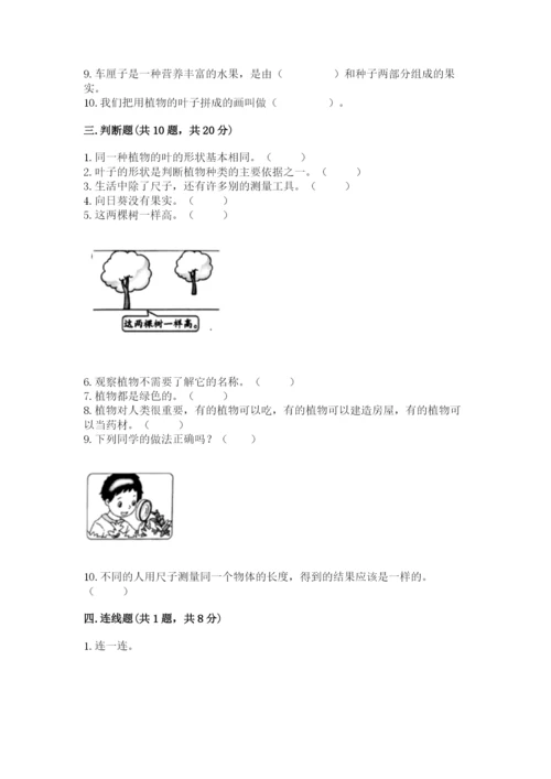 教科版一年级上册科学期末测试卷精品【预热题】.docx